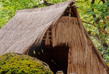 Wailua Nehri Eyalet Parkı ve Heiaus 'un Wailua Kompleksi Hawaii' nin Kauai adasının doğu tarafında yer almaktadır..