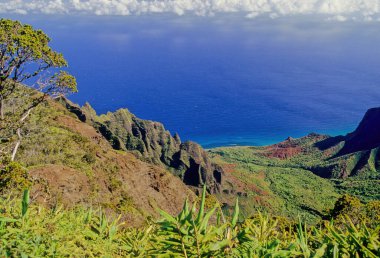 N Pali Coast State Park, ABD 'nin Hawaii eyaletinde, Hawaii' nin en eski ikinci adası olan Kauai 'nin 16 mil kuzeybatısındaki engebeli bir parktır.