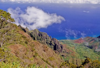 N Pali Coast State Park, ABD 'nin Hawaii eyaletinde, Hawaii' nin en eski ikinci adası olan Kauai 'nin 16 mil kuzeybatısındaki engebeli bir parktır.