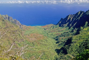 N Pali Coast State Park, ABD 'nin Hawaii eyaletinde, Hawaii' nin en eski ikinci adası olan Kauai 'nin 16 mil kuzeybatısındaki engebeli bir parktır.