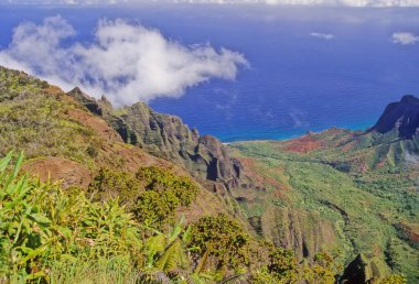 N Pali Coast State Park, ABD 'nin Hawaii eyaletinde, Hawaii' nin en eski ikinci adası olan Kauai 'nin 16 mil kuzeybatısındaki engebeli bir parktır.