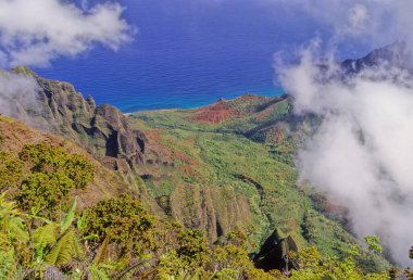 N Pali Coast State Park, ABD 'nin Hawaii eyaletinde, Hawaii' nin en eski ikinci adası olan Kauai 'nin 16 mil kuzeybatısındaki engebeli bir parktır.