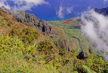 N Pali Coast State Park, ABD 'nin Hawaii eyaletinde, Hawaii' nin en eski ikinci adası olan Kauai 'nin 16 mil kuzeybatısındaki engebeli bir parktır.