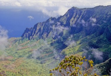 N Pali Coast State Park, ABD 'nin Hawaii eyaletinde, Hawaii' nin en eski ikinci adası olan Kauai 'nin 16 mil kuzeybatısındaki engebeli bir parktır.