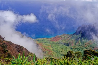 N Pali Coast State Park, ABD 'nin Hawaii eyaletinde, Hawaii' nin en eski ikinci adası olan Kauai 'nin 16 mil kuzeybatısındaki engebeli bir parktır.