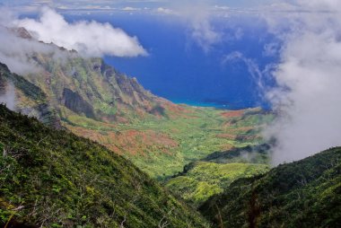 N Pali Coast State Park, ABD 'nin Hawaii eyaletinde, Hawaii' nin en eski ikinci adası olan Kauai 'nin 16 mil kuzeybatısındaki engebeli bir parktır.