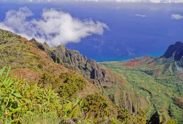 N Pali Coast State Park, ABD 'nin Hawaii eyaletinde, Hawaii' nin en eski ikinci adası olan Kauai 'nin 16 mil kuzeybatısındaki engebeli bir parktır.