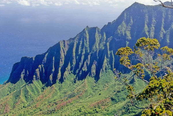 N Pali Coast State Park, ABD 'nin Hawaii eyaletinde, Hawaii' nin en eski ikinci adası olan Kauai 'nin 16 mil kuzeybatısındaki engebeli bir parktır.