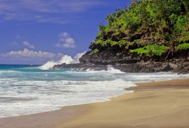 Alakai Vahşi Doğa Koruma Alanı Hawaii 'nin Kauai adasında yer alan bir ormandır..
