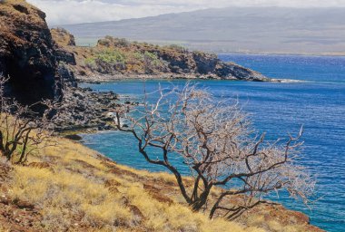 Fleming Beach, Maui, Hawaii 'nin kuzeybatısında bulunan ve Maui County' de bulunan bir plajdır. Fleming Parkı