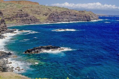 Fleming Beach, Maui, Hawaii 'nin kuzeybatısında bulunan ve Maui County' de bulunan bir plajdır. Fleming Parkı
