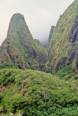 ao Valley, West Maui, Hawaii 'de Wailuku' nun 3,1 mil batısında yer alan yemyeşil bir vadidir. Doğal çevresi ve tarihi nedeniyle turistik bir yer haline gelmiştir..