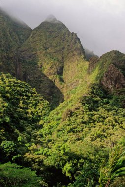 ao Valley, West Maui, Hawaii 'de Wailuku' nun 3,1 mil batısında yer alan yemyeşil bir vadidir. Doğal çevresi ve tarihi nedeniyle turistik bir yer haline gelmiştir..