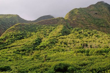 ao Valley, West Maui, Hawaii 'de Wailuku' nun 3,1 mil batısında yer alan yemyeşil bir vadidir. Doğal çevresi ve tarihi nedeniyle turistik bir yer haline gelmiştir..