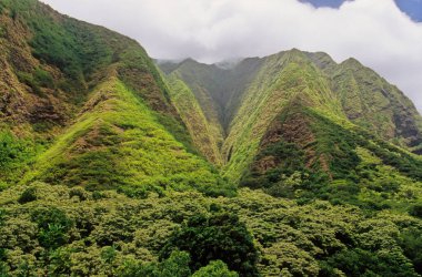 ao Valley, West Maui, Hawaii 'de Wailuku' nun 3,1 mil batısında yer alan yemyeşil bir vadidir. Doğal çevresi ve tarihi nedeniyle turistik bir yer haline gelmiştir..