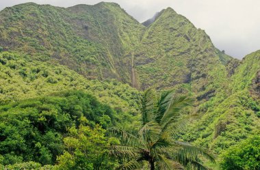 ao Valley, West Maui, Hawaii 'de Wailuku' nun 3,1 mil batısında yer alan yemyeşil bir vadidir. Doğal çevresi ve tarihi nedeniyle turistik bir yer haline gelmiştir..