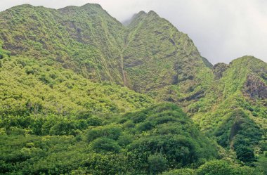 ao Valley, West Maui, Hawaii 'de Wailuku' nun 3,1 mil batısında yer alan yemyeşil bir vadidir. Doğal çevresi ve tarihi nedeniyle turistik bir yer haline gelmiştir..