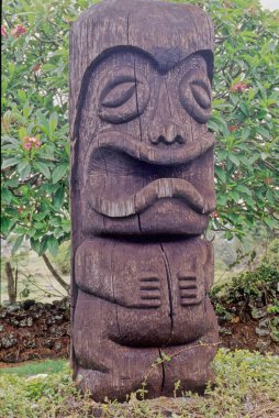 Tiki kültürü, Polinezya, Melanezya ve Mikronezya kültürlerinden esinlenilmiş bir Amerikan kökenli sanat, müzik ve eğlence hareketidir. Okyanus sanatından esinlenilmiştir, Tiki kültürünün etkili kültürleri arasında Avustralasya, Melanezya, Mikronezya, Pol