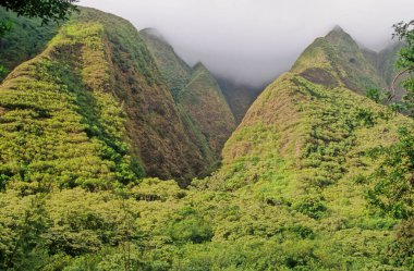 ao Valley, West Maui, Hawaii 'de Wailuku' nun 3,1 mil batısında yer alan yemyeşil bir vadidir. Doğal çevresi ve tarihi nedeniyle turistik bir yer haline gelmiştir..