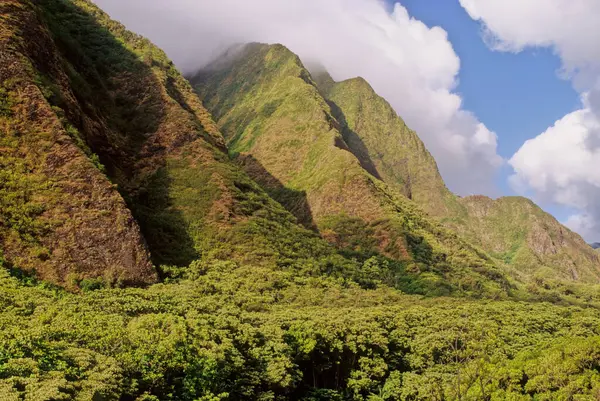 stock image ao Valley is a lush, stream-cut valley in West Maui, Hawaii, located 3.1 miles west of Wailuku. Because of its natural environment and history, it has become a tourist location.