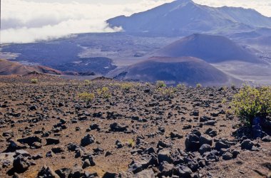 Haleakala Ulusal Parkı Hawaii eyaletinin Maui adasında bulunan bir Amerikan milli parkıdır..