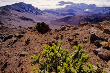 Haleakala Ulusal Parkı Hawaii eyaletinin Maui adasında bulunan bir Amerikan milli parkıdır..