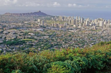 Koolau Sıradağları, Hawaii adasının doğu ya da ön kalkan volkanının kalıntılarına verilen isimdir. 