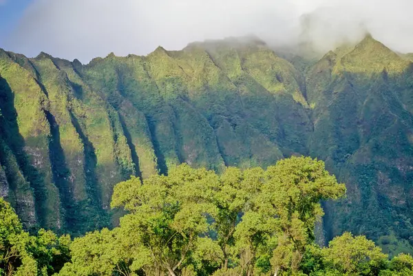 stock image Koolau Range is a name given to the dormant fragmented remnant of the eastern or windward shield volcano of the Hawaiian island 