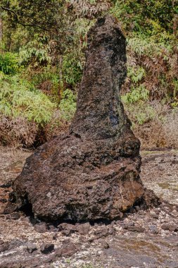 Lava Tree State Monument is a public park located 2.7 miles southeast of Phoa in the Puna District on the island of Hawaii clipart