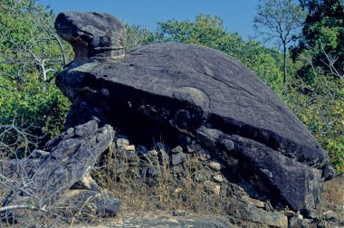 Bandhavgarh Ulusal Parkı, Hindistan 'da Madhya Pradesh' in Umaria ilçesine bağlı bir milli parktır..