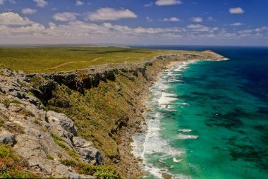 Flinders Chase Ulusal Parkı (eski adıyla Flinders Chase), Avustralya 'nın Güney Avustralya eyaletinde Kanguru Adası' nın batı ucunda yer alan koruma altındaki bir bölgedir.