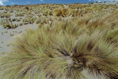 Chimborazo (Spanish pronunciation: is a stratovolcano situated in Ecuador in the Cordillera Occidental range of the Andes