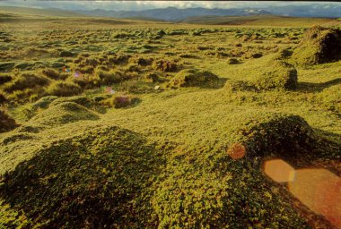 Chimborazo telaffuzu And Dağları 'nın Cordillera Occidental aralığında, Ekvador' da bulunan bir stratovolcano..