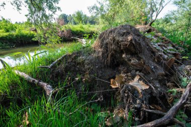 Serio Nehri, Bergamo ve Cremona eyaletlerini geçerek Lombardiya sınırları içinde akan bir İtalyan ırmağıdır..