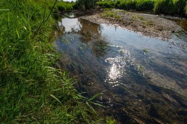 Serio Nehri, Bergamo ve Cremona eyaletlerini geçerek Lombardiya sınırları içinde akan bir İtalyan ırmağıdır..