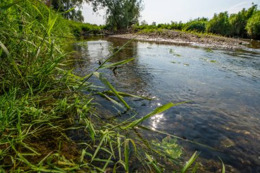 Serio Nehri, Bergamo ve Cremona eyaletlerini geçerek Lombardiya sınırları içinde akan bir İtalyan ırmağıdır..