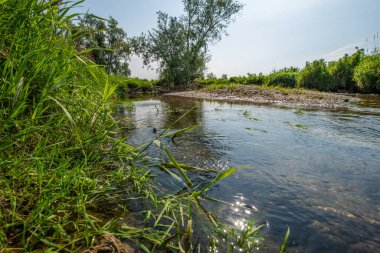 Serio Nehri, Bergamo ve Cremona eyaletlerini geçerek Lombardiya sınırları içinde akan bir İtalyan ırmağıdır..