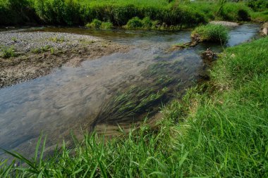 Serio Nehri, Bergamo ve Cremona eyaletlerini geçerek Lombardiya sınırları içinde akan bir İtalyan ırmağıdır..