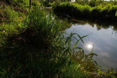 Serio Nehri, Bergamo ve Cremona eyaletlerini geçerek Lombardiya sınırları içinde akan bir İtalyan ırmağıdır..