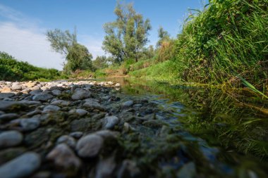 Serio Nehri, Bergamo ve Cremona eyaletlerini geçerek Lombardiya sınırları içinde akan bir İtalyan ırmağıdır..