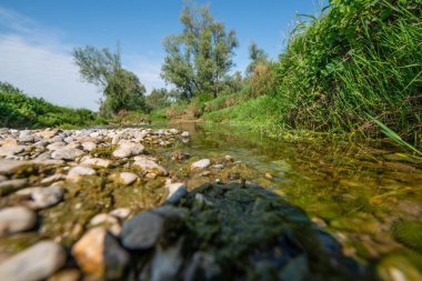 Serio Nehri, Bergamo ve Cremona eyaletlerini geçerek Lombardiya sınırları içinde akan bir İtalyan ırmağıdır..