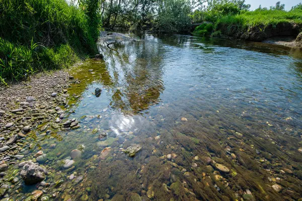 Serio Nehri, Bergamo ve Cremona eyaletlerini geçerek Lombardiya sınırları içinde akan bir İtalyan ırmağıdır..