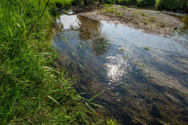 Serio Nehri, Bergamo ve Cremona eyaletlerini geçerek Lombardiya sınırları içinde akan bir İtalyan ırmağıdır..