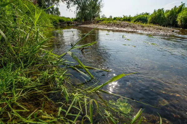 Serio Nehri, Bergamo ve Cremona eyaletlerini geçerek Lombardiya sınırları içinde akan bir İtalyan ırmağıdır..