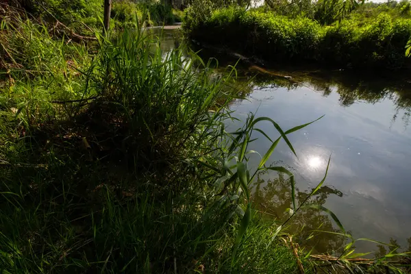 Serio Nehri, Bergamo ve Cremona eyaletlerini geçerek Lombardiya sınırları içinde akan bir İtalyan ırmağıdır..