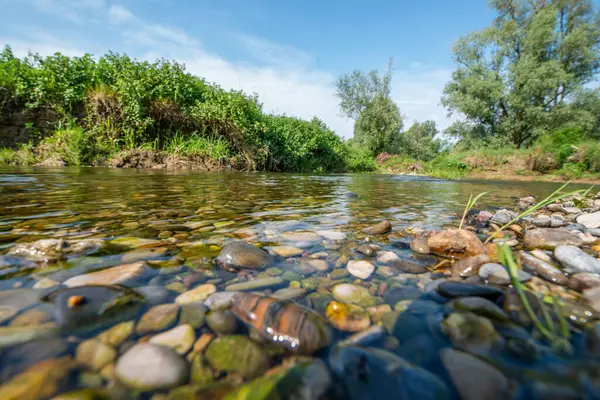 Serio Nehri, Bergamo ve Cremona eyaletlerini geçerek Lombardiya sınırları içinde akan bir İtalyan ırmağıdır..