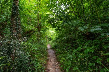 Adda Nord Parkı, Adda 'nın yüksek ovaları boyunca uzanan Como Gölü' nün aşağısındaki kıyı bölgelerini kapsar.