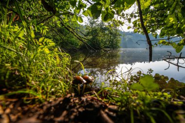 Adda Kuzey İtalya 'da bir nehirdir, Po nehrinin bir koludur..