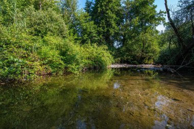 Adda Kuzey İtalya 'da bir nehirdir, Po nehrinin bir koludur..