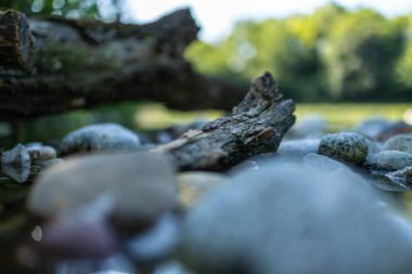 Adda Kuzey İtalya 'da bir nehirdir, Po nehrinin bir koludur..